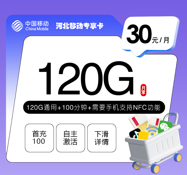 河北移动专享卡【30元120G流量+100分钟】